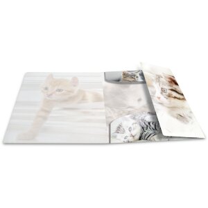 Herma Sammelmappe Glossy Tiere A4 PP Katzen