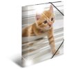 Herma Sammelmappe Glossy Tiere A4 PP Katzen