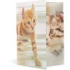 Herma Sammelmappe Glossy Tiere A4 PP Katzen