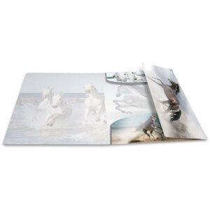 Папка Herma глянцевая Животные A4 PP Лошади