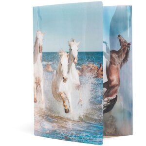 Папка Herma глянцевая Животные A4 PP Лошади