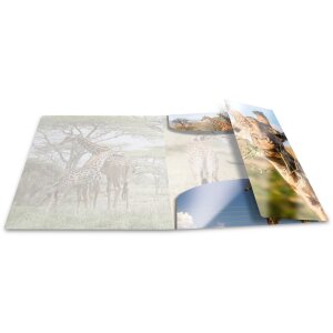 Herma Sammelmappe Glossy Tiere A3 PP Giraffe