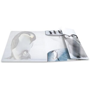 Herma Sammelmappe Glossy Tiere A3 PP Pinguine