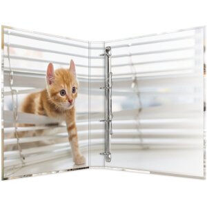 Herma Ringbuch A4 Karton 4D Katzen, Farbe: Katzen, Größe: A4
