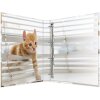 Herma Ringbuch A4 Karton 4D Katzen, Farbe: Katzen, Größe: A4