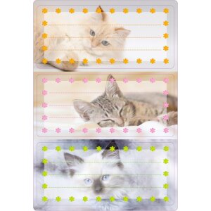 HERMA Schuletiketten Katzen beglimmert