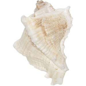 Дверная ручка 7x6 см - Clayre & Eef 64183