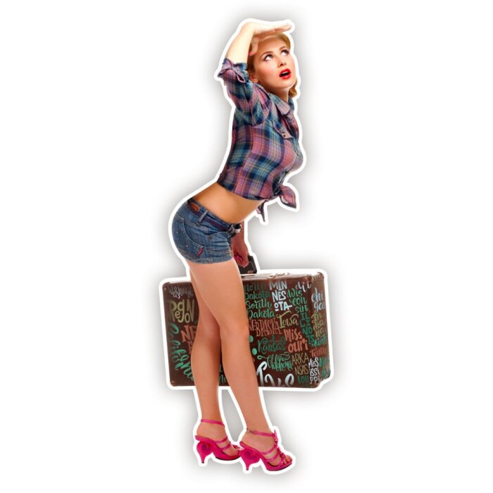 Жестяная табличка LUGGAGE 30x80x0,4 см