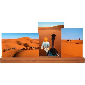 Фотогалерея Бамбук 3 фото