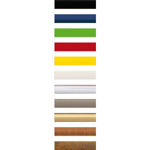 Пластиковая рамка New Lifestyle 61x91,5 см золото