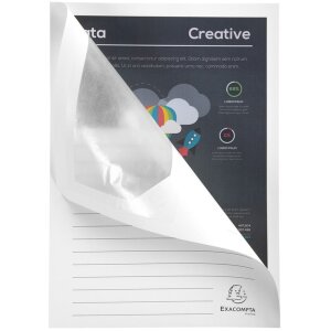 Exacompta 100 папок с окошками DIN A4 160г без пластика SUPER White