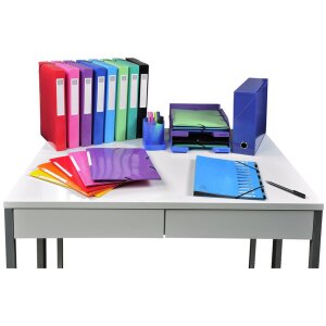 Exacompta Sammelmappe DIN A4 Iderama Anisgrün 3 Klappen Gummizug Maxi Capacity