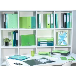 Exacompta Transferbox Karton Rücken 90mm 25x33cm DIN A4 Iderama Dunkelgrün