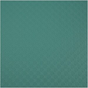 Exacompta 54183SE Ringbuch dunkelgrün DIN A4 20mm Rücken 140 Blatt