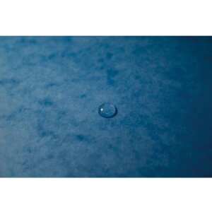 Exacompta Ordnungsmappe 12-teilig A4 Harmonika blau