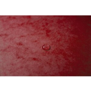 Exacompta Ordnungsmappe Colorspan-Karton mit Gummizug 12 Fächer DIN A4 Rot