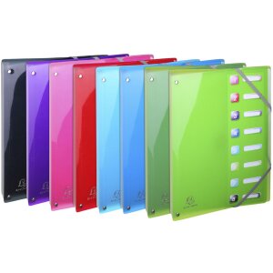 Exacompta Ordnungsmappe dehnbarer Rücken 8 Fächer DIN A4 Iderama sortiert