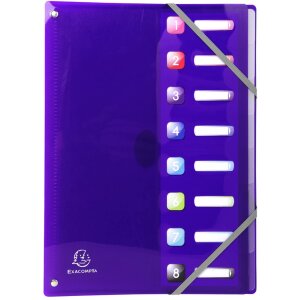 Exacompta Ordnungsmappe dehnbarer Rücken 8 Fächer DIN A4 Iderama sortiert