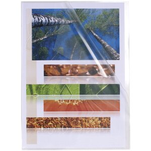 Exacompta упаковка из 100 гладких папок с кристаллами PP 120µ DIN A4