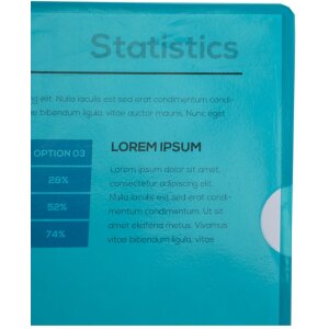 Exacompta упаковка из 100 файловых папок, гладкие, прочные ПВХ 130µ DIN A4 зеленые