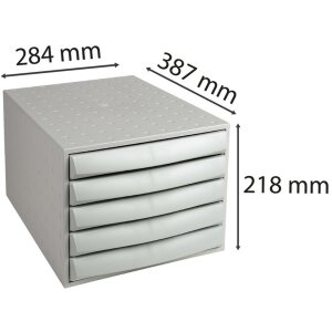 Exacompta Schubladenbox THE BOX 5 geschlossene Schubladen Office Lichtgrau