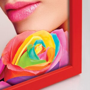 ZEP Bilderrahmen Darwin 30x40 cm sortiert