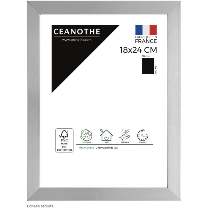 Ceanothe Bilderrahmen Precious 18x24 cm silber