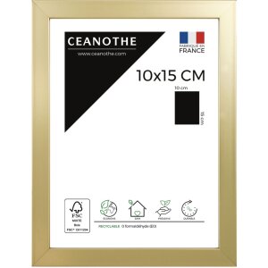 Ceanothe Bilderrahmen Precious Holzoptik Normalglas 10x15 cm bis 50x70 cm