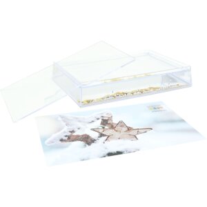 Deknudt Schüttelrahmen S66FD9 goldene Sterne 10x15 Zentimeter