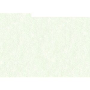 HNFD 10 карточек-разделителей для фотобоксов 15x20 см -...