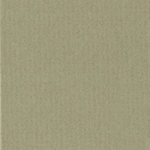 HNFD 10 разделительных карточек для фотобоксов 15x20 см - Pistacchio