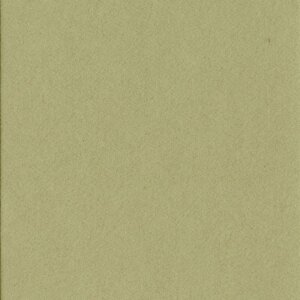 HNFD 10 карточек-разделителей для фотобоксов 15x20 см - Verde Alga