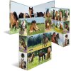 HERMA Motiv-Ordner A4 Animals Pferdewiese
