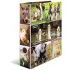HERMA Motiv-Ordner A4 Animals Bauernhoftiere bunt