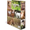 HERMA Motiv-Ordner A4 Animals Bauernhoftiere bunt