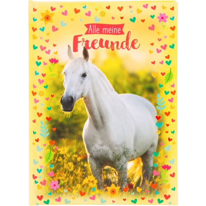 Золотая книга друзей Кьяры 15x21 см 88 иллюстрированных страниц