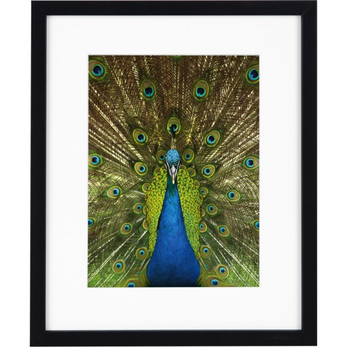 Goldbuch деревянная рамка Pino 20x25 см черная с пассатижами 13x18 см