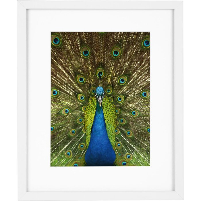 Goldbuch деревянная рамка Pino 20x25 см белая с пассатижами 13x18 см