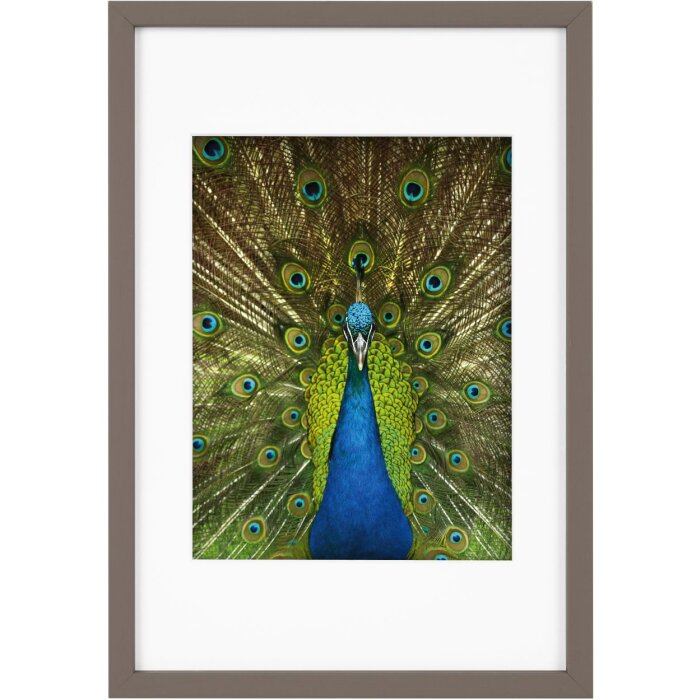 Goldbuch Holzrahmen Pino 20x30 cm taupe mit Passepartout 15x20 cm