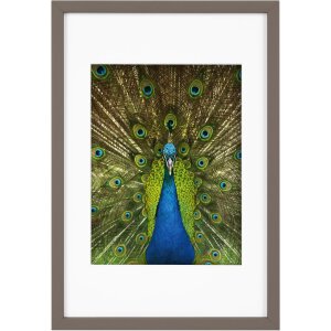 Goldbuch Holzrahmen Pino 20x30 cm taupe mit Passepartout...