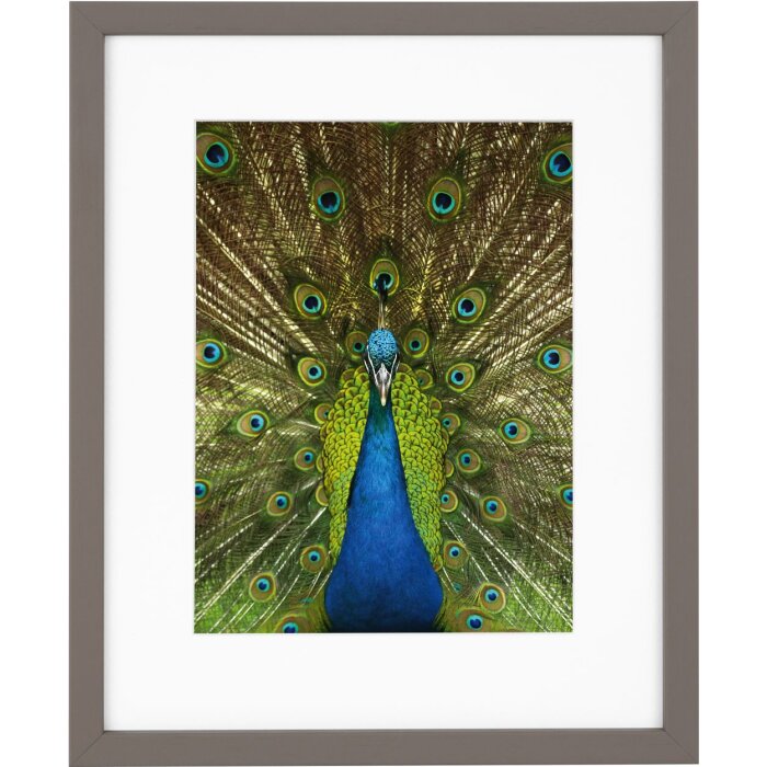 Goldbuch деревянная рамка Pino 20x25 см тауп с пассатижами 13x18 см