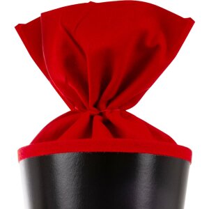 Школьный конус Goldbuch Racing Champion 70 см