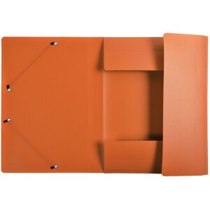 Exacompta Sammelmappe 3 Klappen Gummizug PP 400µ blickdicht A4 mit Rückenetikett