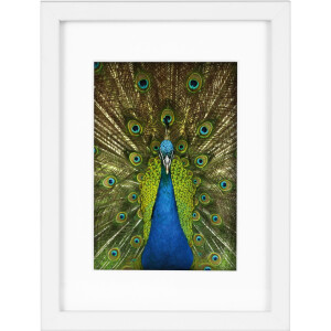 Деревянная рамка Goldbuch Pino от 13x18 см до 30x40 см с пассатижами