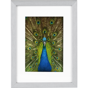 Деревянная рамка Goldbuch Pino от 13x18 см до 30x40 см с пассатижами