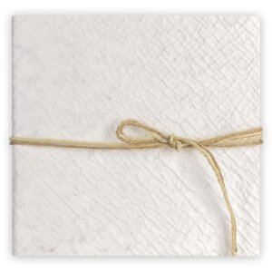 Фотоальбом ZEP Meryl V 23x23 см 20 белых страниц