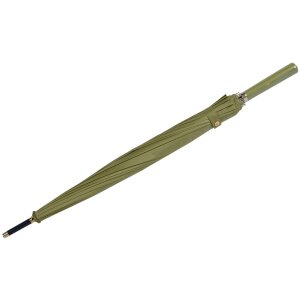 Clayre & Eef JZUM0032LGR Зонт взрослый зеленый...