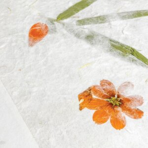 ZEP Тайский вставной альбом 200 фотографий 10x15 см рисовая бумага с полями для этикеток