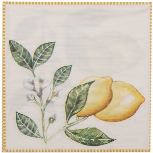 Clayre & Eef LEL73 Papierservietten 33x33 cm Beige...