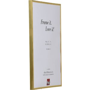 Effect Kunststoffrahmen Art gold 23x70 cm Antireflexglas